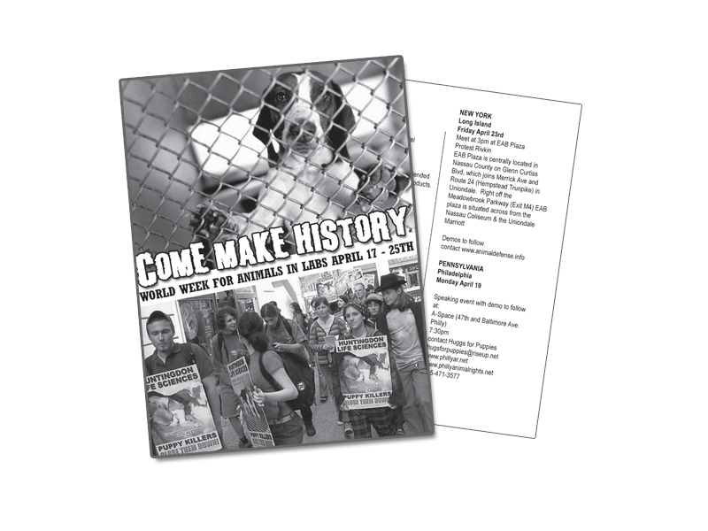 World Week For Animals