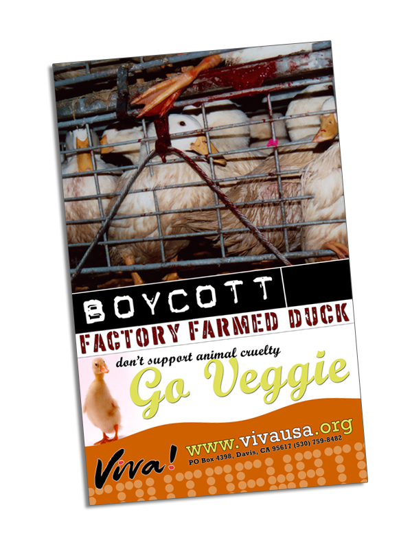 Boycott Factory Farmed Duck