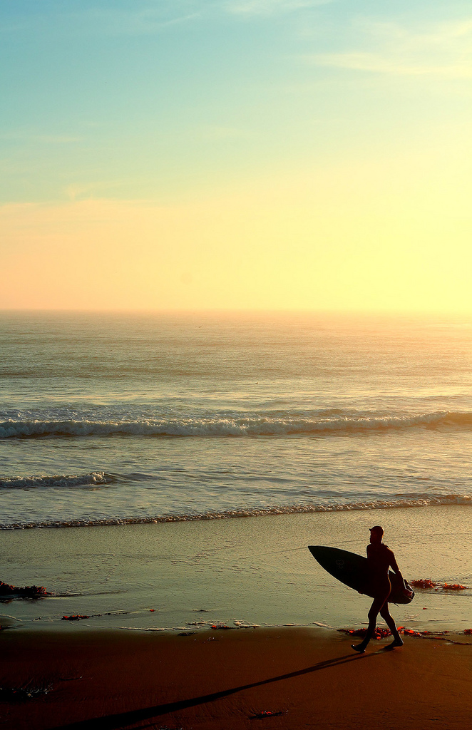 Candids – Surfer